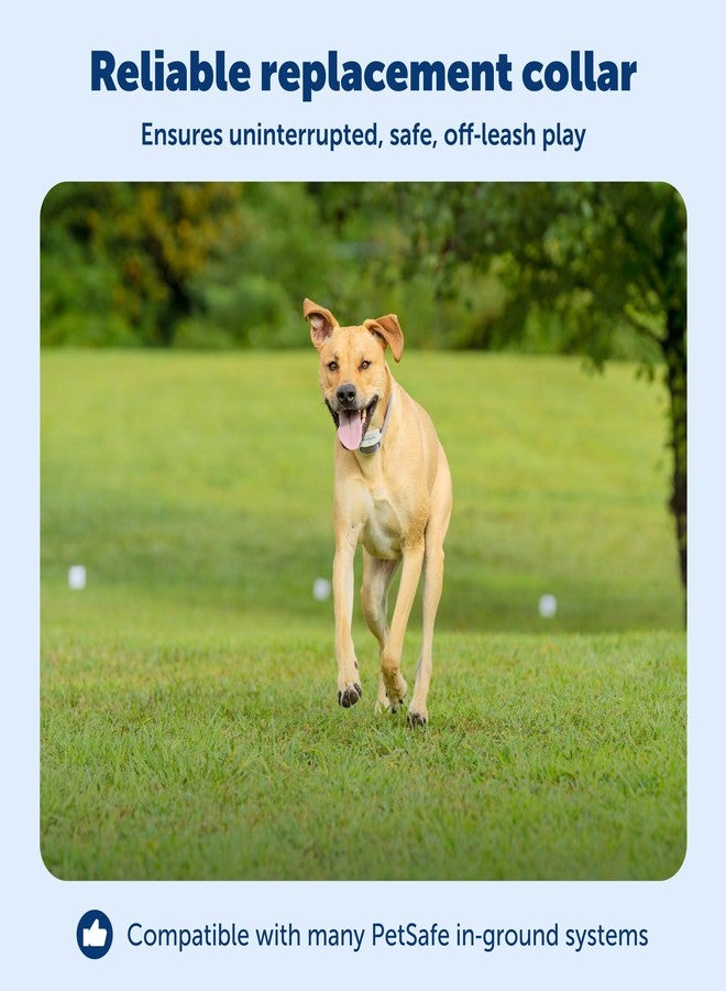 بيت سيف طوق استقبال قابل لإعادة الشحن من PetSafe Classic، مُصمم خصيصًا للأسوار الأرضية للكلاب والقطط - من الشركة الأم لعلامة Invisible Fence التجارية - 7 مستويات من التصحيح الثابت القابل للتعديل - مناسب للحيوانات الأليفة التي تزن 2.3 كجم فأكثر - Image 3